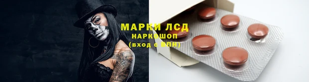 кокс Дмитров