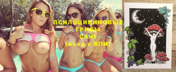 кокс Дмитров