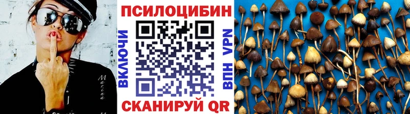 Галлюциногенные грибы Cubensis  hydra ссылки  Заволжск  дарк нет официальный сайт  продажа наркотиков 